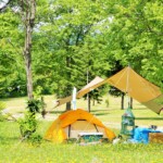 広々としたキャンプ場